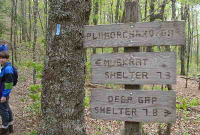 We arrive at Plumorchard Gap and take the side trail down to the A.T. shelter.