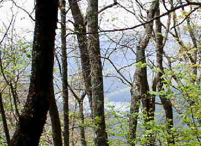 Looking back down to the Lake.