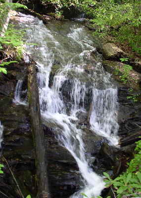 Early into the hike, we pass by this nice waterfall!