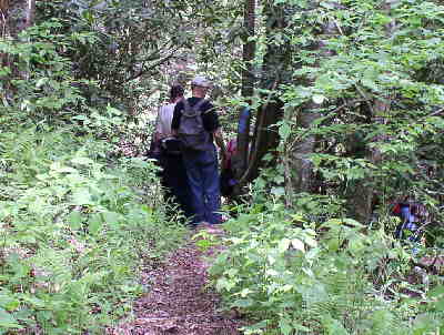 Most of the trail is through lush wildflower environment.
