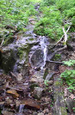 On the way to the Wasilik Poplar Tree, we pass by this refreshing mountain creek.