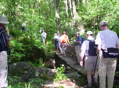 Crossing a bridge along the Kimsey Creek Trail.