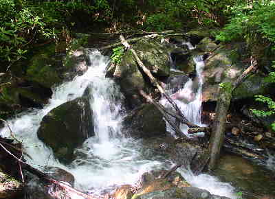 Nice creeks along much of the trail.