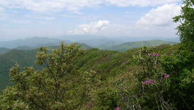 View 3.