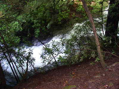 After a week with lots of rainfall, Dodd Creek was roaring!