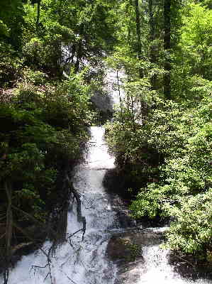 Dukes Creek area has two falls. The taller one is fed by Davis Creek.
