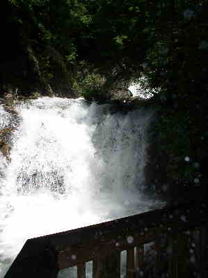 This falls is formed by Dodd Creek and provides a constant cool mist in your face and camera lens!