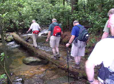 Early into the hike, we walk a log to cross the creek.