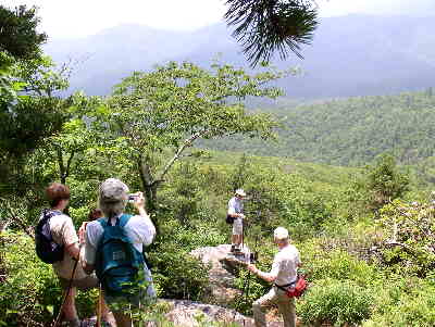 Several nice photo opportunities along the ridge of Chinquapin.