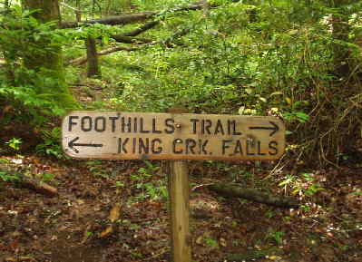 Trail junction for King Creek Falls.