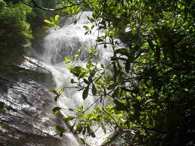 After thunder showers the evening before, the waterfall was roaring!