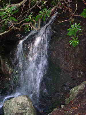 Shortly into the hike, we pass this refreshing little falls.