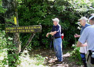 Trail junction sign points to Scaly Mtn.