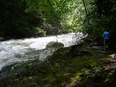 The river was roaring with excess water from frequent heavy showers the day before.