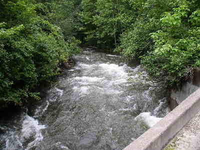 Looking down the river from the bridge.