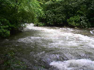 This view of the river is just above the falls.