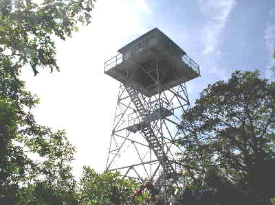 The Albert Mountain Fire Tower.