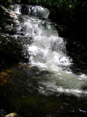 Laurel Falls!