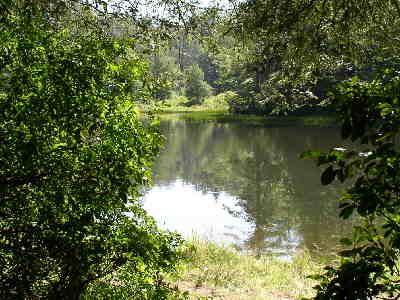 The Highlands Botanical Gardens has a nice network of Nature Trail loops. Here, the trail loops around this nice lake.