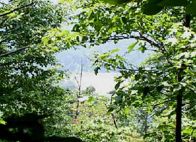 Here we can see the lake at the BSA Rainey Mountain camp.