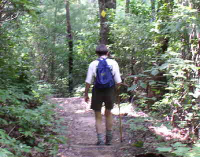 The Bartram trail is well-maintained and marked with yellow diamond markers along the way.