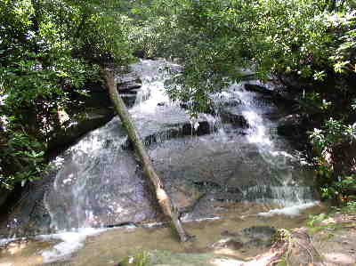 A refreshing waterfall on the west fork of the trail.