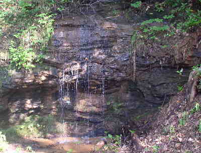 We pass this nice little waterfall early into the hike.