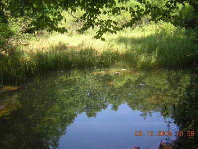 Our lunch spot for the day! Pond at Oconee State Park.