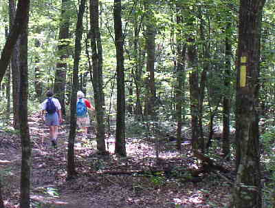 This trail is a beautiful walk through lush hardwoods. The trail is also well-marked with yellow blazes.