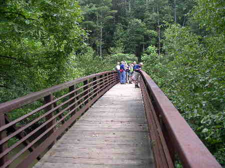 Early into the hike, we cross the West Fork Chattooga River on this nice foot-bridge.