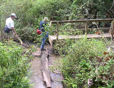 This foot-bridge has been washed downstream about 50 feet by earlier floods.