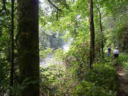 A nice stretch of the trail brings us close to the Chattooga River.