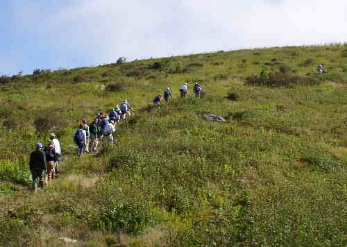 Working our way up the slope to Black Balsam Knob.