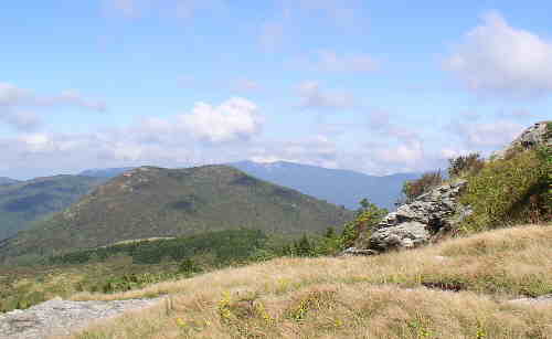 One of many awesome views on the way up to Black Balsam Knob.