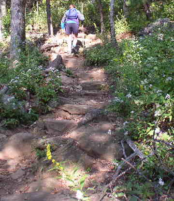 A typical trail shot with lots of wildflowers! .