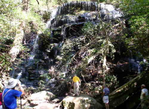 Yellow Branch Falls! beautiful and unique . A freshly fallen tree blocks part of the view...