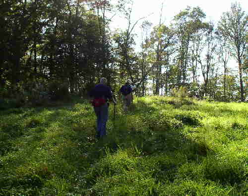 One of three grassy fields on this portion of the Bartram Trail.