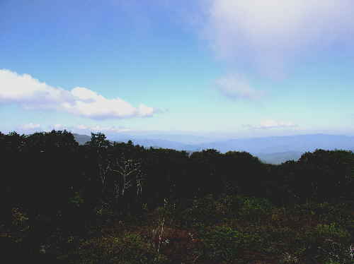 Views from the tower were a bit hazy today but still worth the trip!