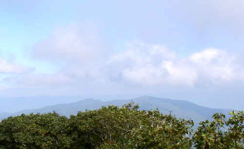 View 2