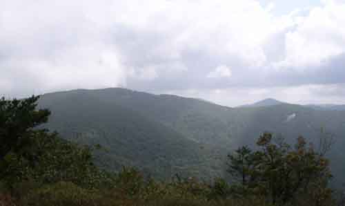 View one from Wolf Laurel Top.!