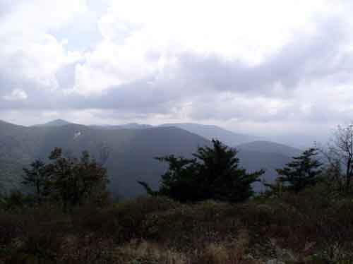 View 2