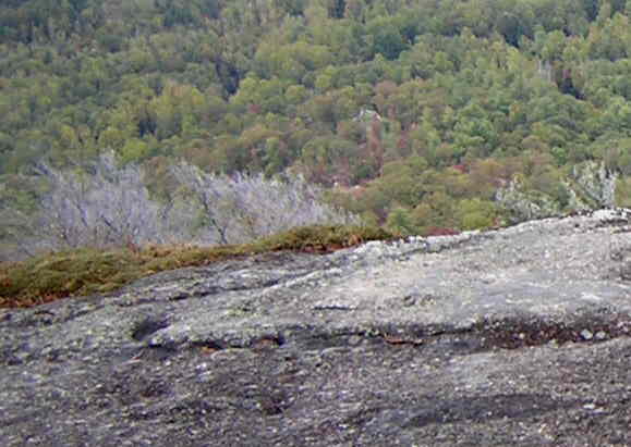 Rime ice on the trees below the rocks!.