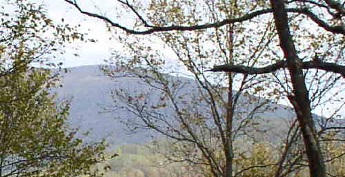 As we walk along, we have many mountain views through the trees.