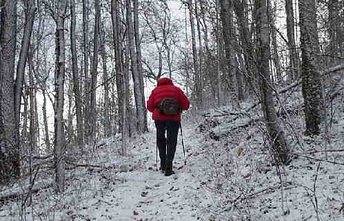 Hmmm, I wonder where all of our regular hikers are today? ............wimps!