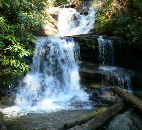 2 or 3 miles up the trail and you come to beautiful Martin Creek Falls!
