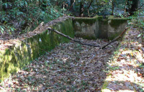 One of the old fish holding tanks.