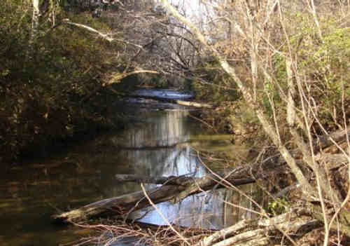 A nice calm spot along the river.