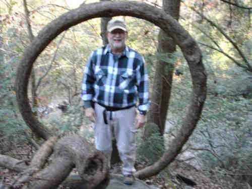 We are always amazed by this circular Hemlock tree.