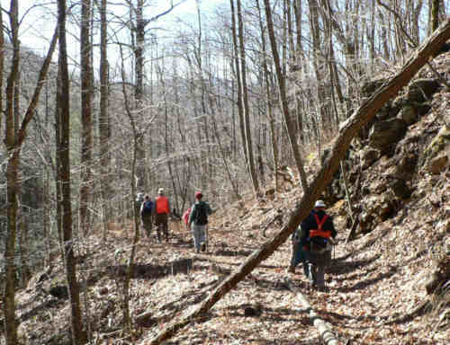 A beautiful walk through the woods.