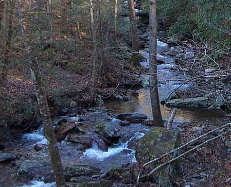 The whole Beech Creek area is beautiful.